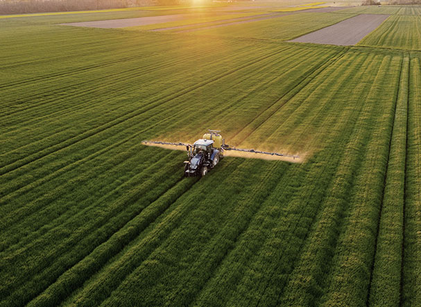 Impactos do LSR Standard para empresas do setor agrícola