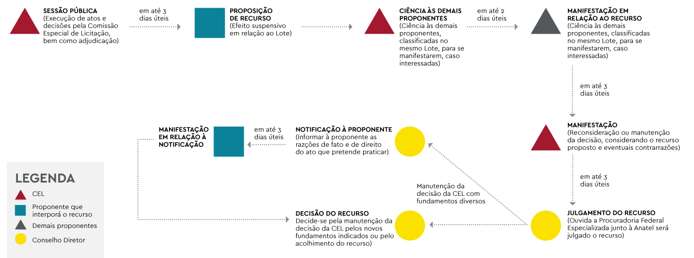 grafico leilao2