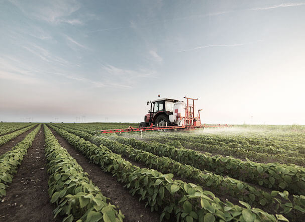 Celeridade no registro de agrotóxicos e afins