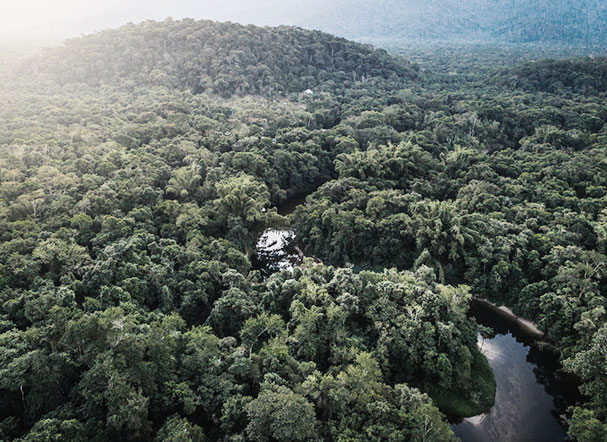 Visão superior de zona florestal cortada por um rio