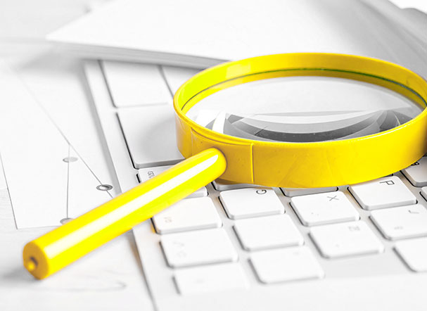 Investigation of complaints against employees with guarantee of employment