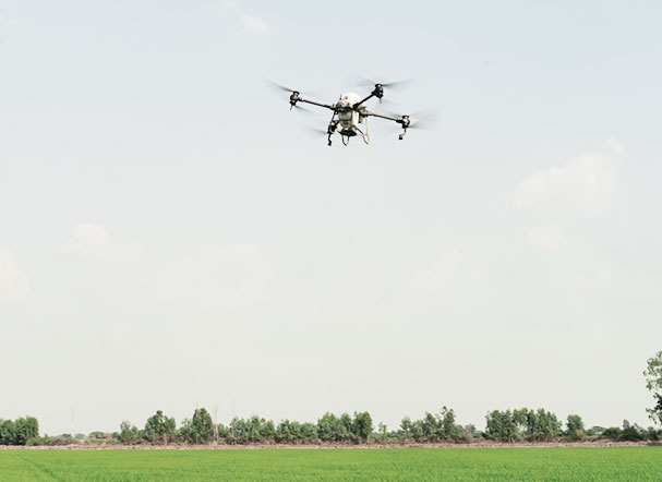 Bottom view of drone flying over agricultural area